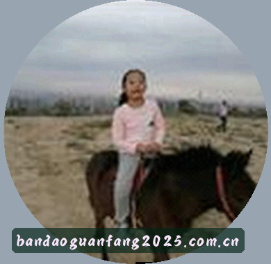 吴迪